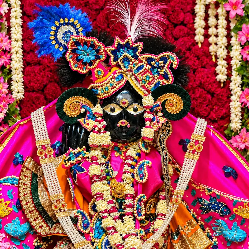 বাঁকে বিহারী জি প্রসাদ বক্স