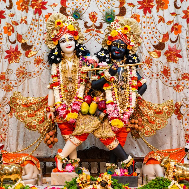 ISKCON Vrindavan Grand Prasad Hamper