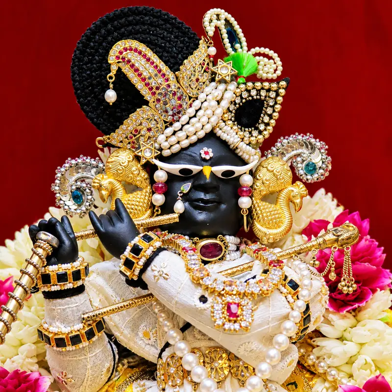 রাধারমণ জি পরিবার প্রসাদ হ্যাম্পার