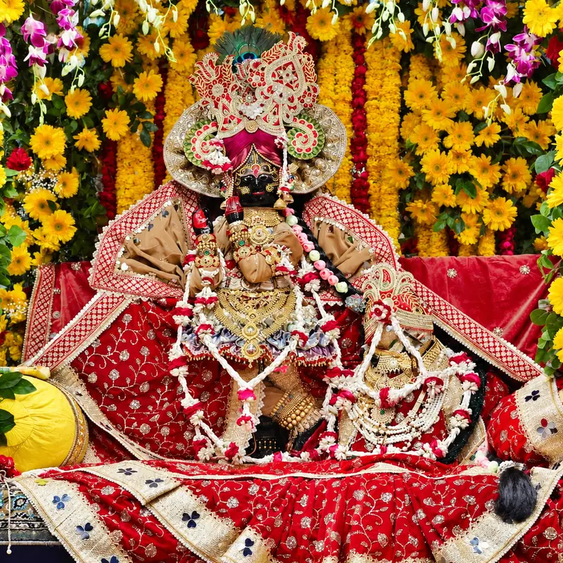 রাধাবল্লভ জি প্রসাদ প্যাক